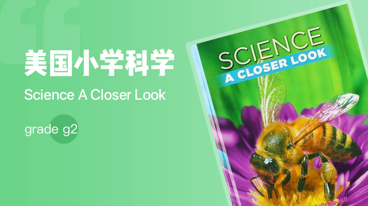 A closer look grade 2