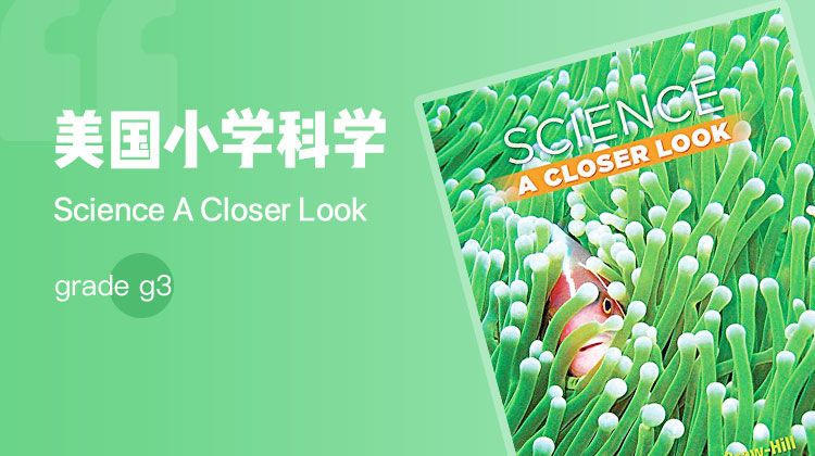 A closer look grade 3